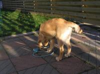 PA060010.JPG - 2005:10:06 16:52:47