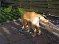 PA060011.JPG - 2005:10:06 16:52:48