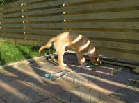 PA060012.JPG - 2005:10:06 16:52:53