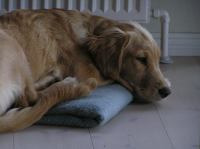 PA060013.JPG - 2005:10:06 17:50:19