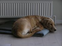 PA060014.JPG - 2005:10:06 17:50:25