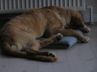 PA060015.JPG - 2005:10:06 18:03:05