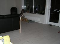 PA180018.JPG - 2005:10:18 20:07:03