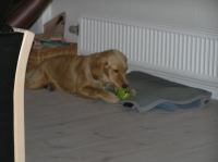 PA180019.JPG - 2005:10:18 20:07:10