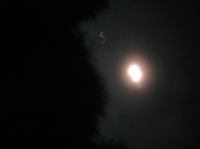 PA180031.JPG - 2005:10:18 20:36:49