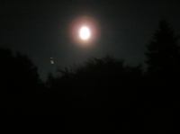 PA180032.JPG - 2005:10:18 20:37:06