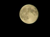 PA180035.JPG - 2005:10:18 20:38:03