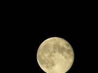 PA180036.JPG - 2005:10:18 20:38:20