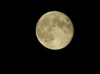 PA180037.JPG - 2005:10:18 20:38:48