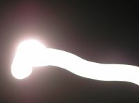 PA180040.JPG - 2005:10:18 20:39:56