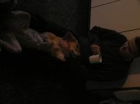 PA190001.JPG - 2005:10:19 07:39:05