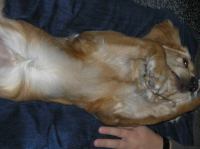 PA190002.JPG - 2005:10:19 07:39:16