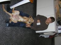 PA190003.JPG - 2005:10:19 07:39:29