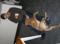 PA190004.JPG - 2005:10:19 07:40:30