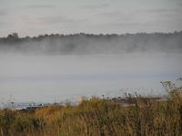 PA190007.JPG - 2005:10:19 08:17:39