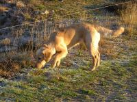 PA190008.JPG - 2005:10:19 08:20:55