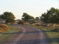 PA190009.JPG - 2005:10:19 08:21:01