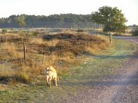 PA190010.JPG - 2005:10:19 08:21:05