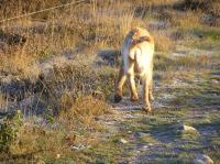 PA190011.JPG - 2005:10:19 08:22:59