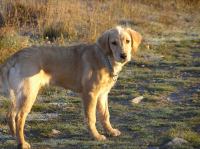 PA190012.JPG - 2005:10:19 08:23:07