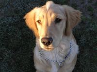 PA190013.JPG - 2005:10:19 08:24:40