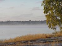 PA190015.JPG - 2005:10:19 08:25:00