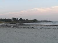 PA200018.JPG - 2005:10:20 08:22:03