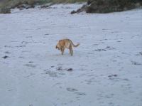 PA200020.JPG - 2005:10:20 08:22:39