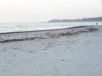 PA200021.JPG - 2005:10:20 08:22:46