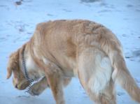 PA200023.JPG - 2005:10:20 08:23:09