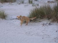 PA200025.JPG - 2005:10:20 08:25:03