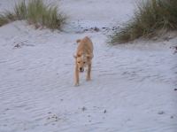 PA200026.JPG - 2005:10:20 08:25:04