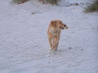 PA200027.JPG - 2005:10:20 08:25:04