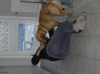 PA240036.JPG - 2005:10:24 12:35:27