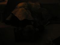 PA260038.JPG - 2005:10:26 21:06:34