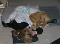 PA260039.JPG - 2005:10:26 21:06:44