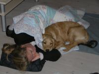 PA260040.JPG - 2005:10:26 21:06:51