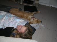 PA260041.JPG - 2005:10:26 22:41:37