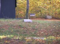 PA290042.JPG - 2005:10:29 10:51:58