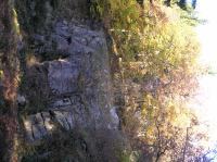 PA290045.JPG - 2005:10:29 10:54:49