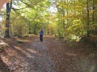 PA290051.JPG - 2005:10:29 10:59:55