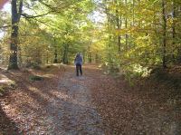 PA290052.JPG - 2005:10:29 10:59:56