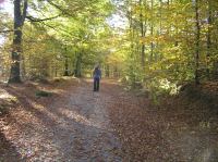 PA290053.JPG - 2005:10:29 10:59:56