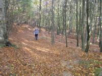 PA290055.JPG - 2005:10:29 11:30:19