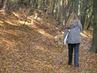 PA290056.JPG - 2005:10:29 11:30:23