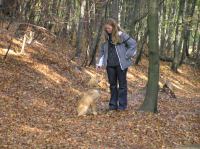 PA290057.JPG - 2005:10:29 11:30:30