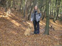 PA290058.JPG - 2005:10:29 11:30:35