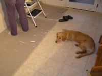 PB060063.JPG - 2005:11:06 08:29:12