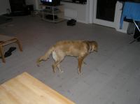 PB160064.JPG - 2005:11:16 21:01:32