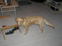 PB160065.JPG - 2005:11:16 21:01:43